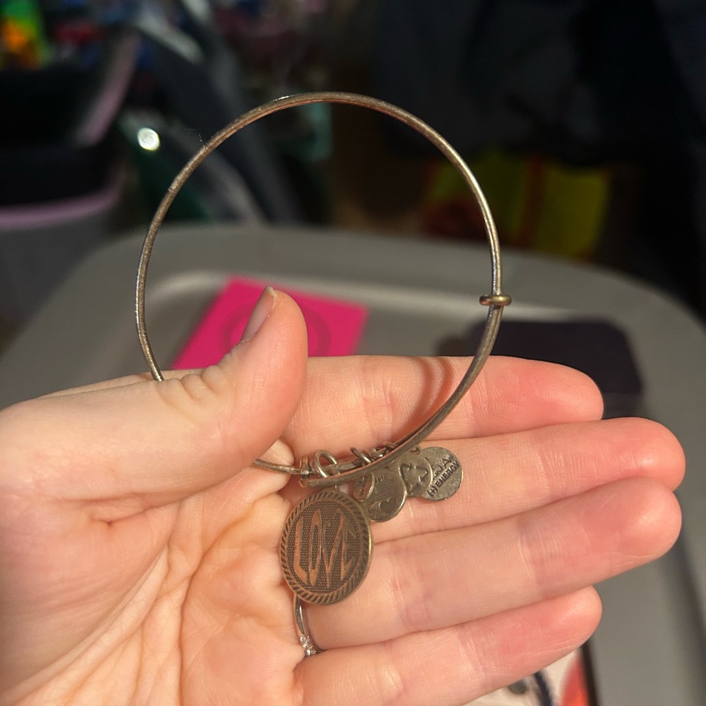 Alex and Ani Silver Charm Bracelet